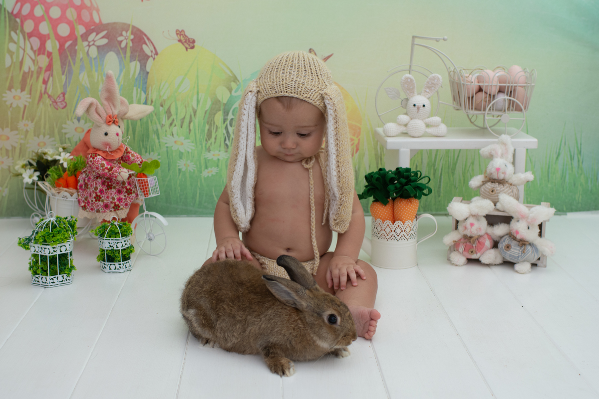 mini sessão de páscoa, ensaio de páscoa, fotos de páscoa, fotos de bebês, coelhinho da páscoa, estúdio a barra da tijuca, fotografia infantil, melhor fotógrafa de bebês da Barra da Tijuca, melhor fotógrafa newborn da Barra da Tijuca, fotografia infantil 