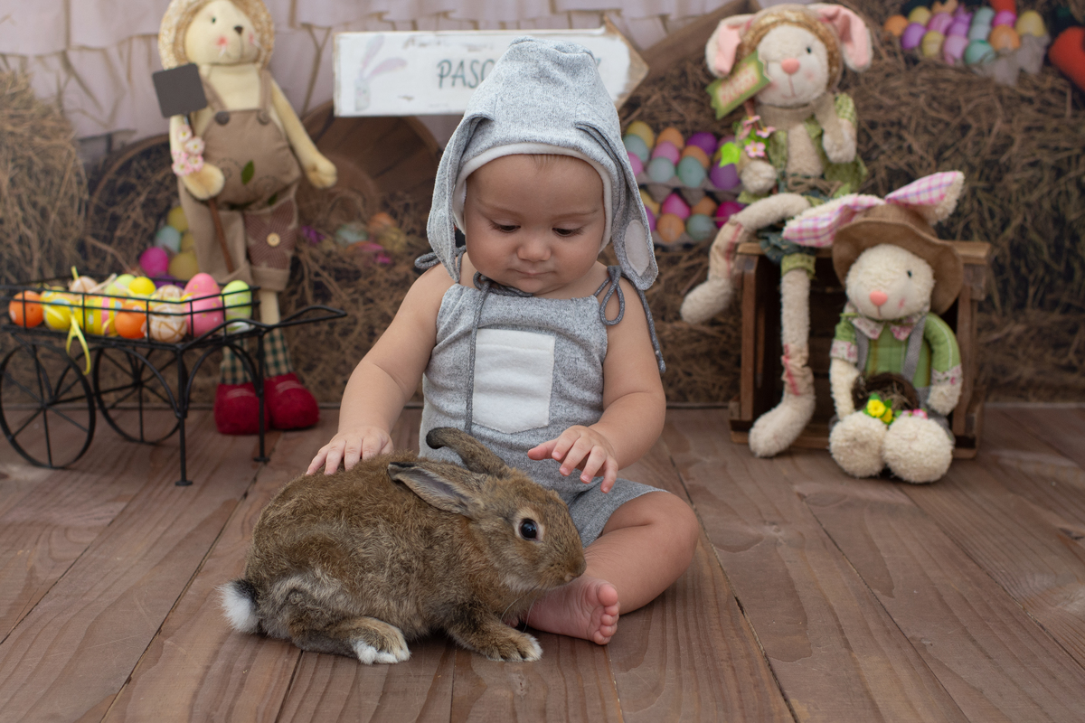mini sessão de páscoa, ensaio de páscoa, fotos de páscoa, fotos de bebês, coelhinho da páscoa, estúdio a barra da tijuca, fotografia infantil, melhor fotógrafa de bebês da Barra da Tijuca, melhor fotógrafa newborn da Barra da Tijuca, fotografia infantil 