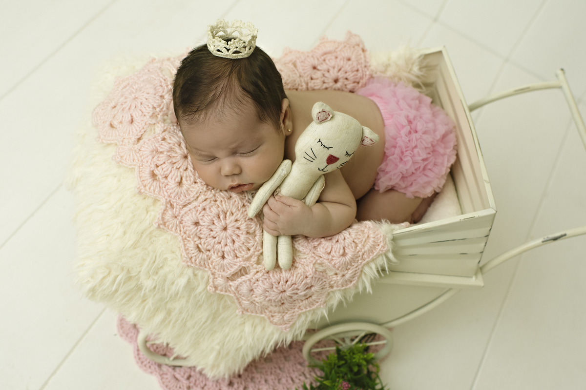 fotografia newborn, foto de recém-nascido, newborn barra da tijuca, melhor fotógrafa newborn do Rio, embaixadora da ABFRN, melhor fotógrafa de recém-nascidos do Rio, estúdio na barra da tijuca, ensaio newborn barra, rita rodrigues fotografia