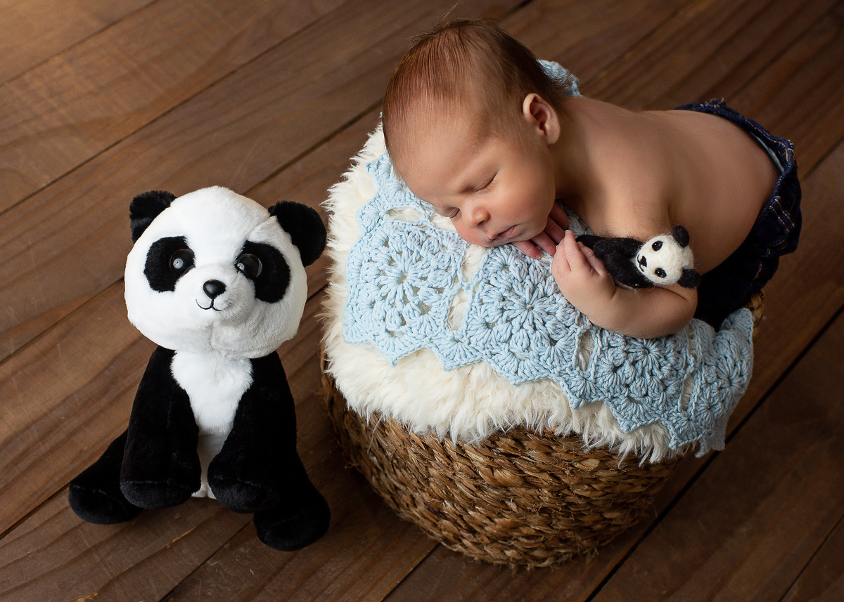 newborn barra da tijuca, melhor fotógrafa newborn no Rio de Janeiro, melhor fotógrafa newborn na barra da tijuca, fotógrafa newborn experiente, fotografia newborn barra, ensaio newborn barra, lindas fotos newborn, fotos newborn em estúdio
