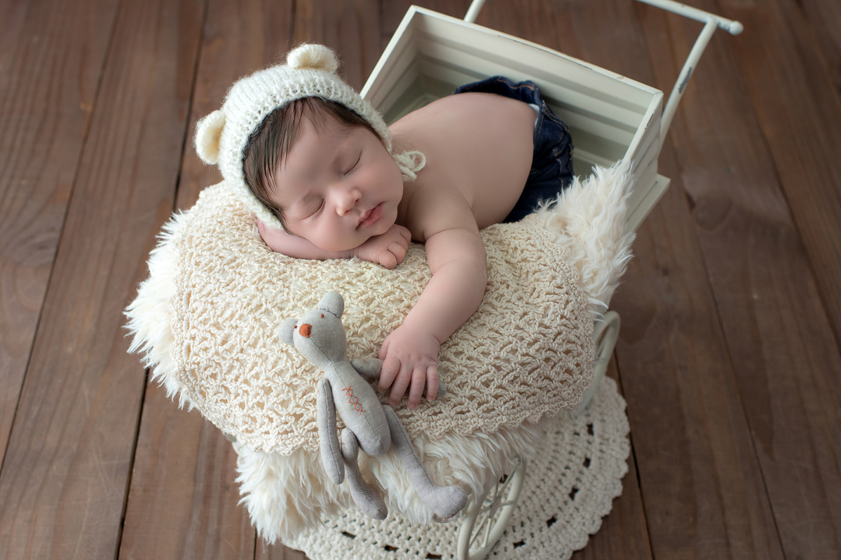 ensaio newborn barra da tijuca, bebês barra da tijuca, fotografia newborn, book newborn, perinatal, perinatal barra, recém-nascidos, book de bebê, ensaio infantil, fotos newborn, gestantes barra da tijuca, fotos de recém-nascidos, book infantil, newborn 