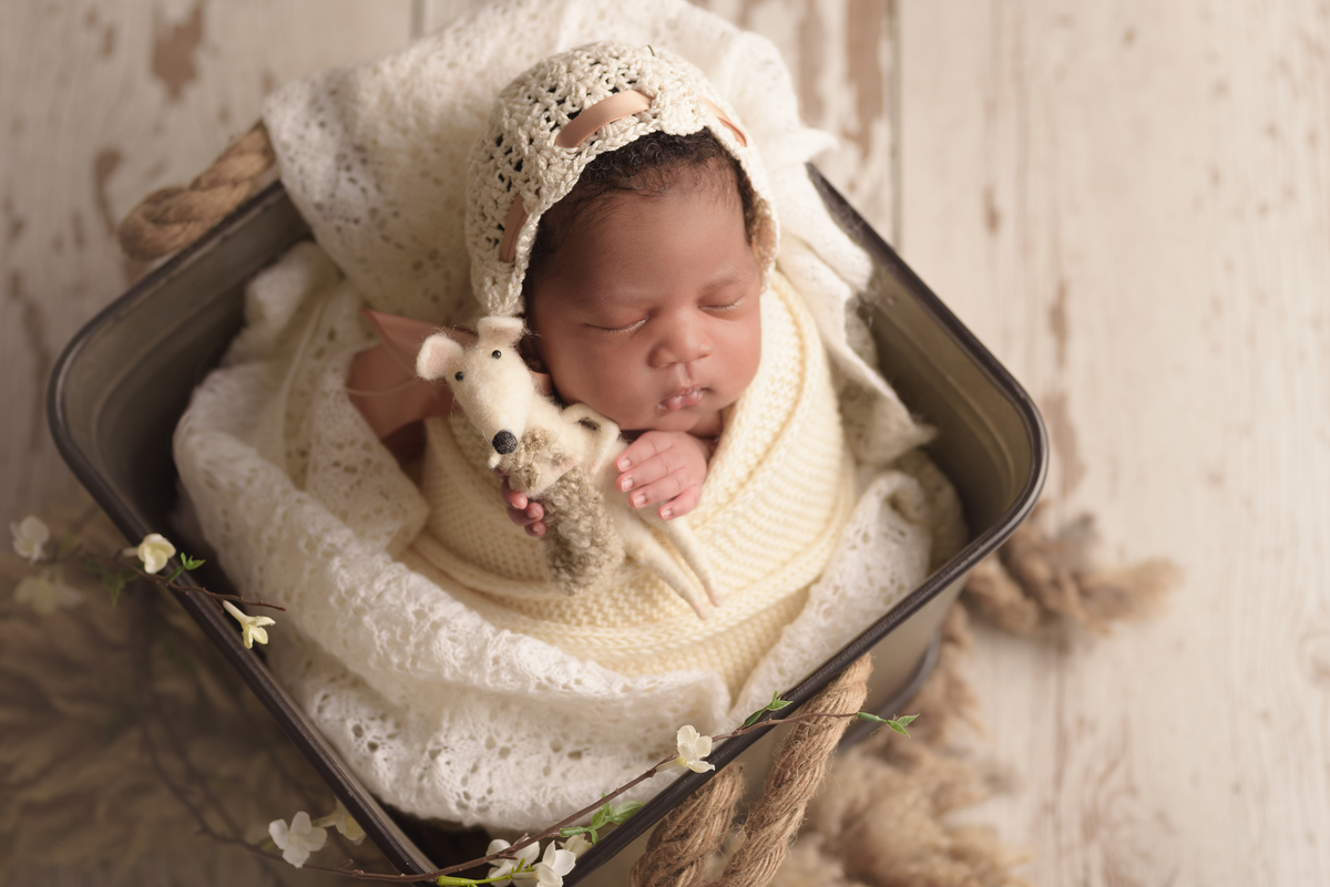 estúdio fotografico, newborn, lisboa, porto, fotografia de família, bebes, recém nascidos, andreia garcia, gravida, gestante, sessão de fotos, fotografo newborn, fotografo de grávidas, ensaio fotográfico de bebes, fotos de maternidade, Smash the cake