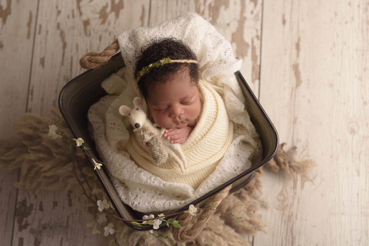 estúdio fotografico, newborn, lisboa, porto, fotografia de família, bebes, recém nascidos, andreia garcia, gravida, gestante, sessão de fotos, fotografo newborn, fotografo de grávidas, ensaio fotográfico de bebes, fotos de maternidade, Smash the cake