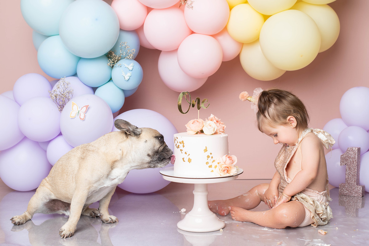 estúdio fotografico, newborn, lisboa, porto, fotografia de família, bebes, recém nascidos, andreia garcia, gravida, gestante, sessão de fotos, fotografo newborn, fotografo de grávidas, ensaio fotográfico de bebes, fotos de maternidade, Smash the cake,