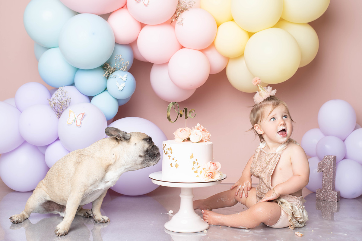 estúdio fotografico, newborn, lisboa, porto, fotografia de família, bebes, recém nascidos, andreia garcia, gravida, gestante, sessão de fotos, fotografo newborn, fotografo de grávidas, ensaio fotográfico de bebes, fotos de maternidade, Smash the cake,