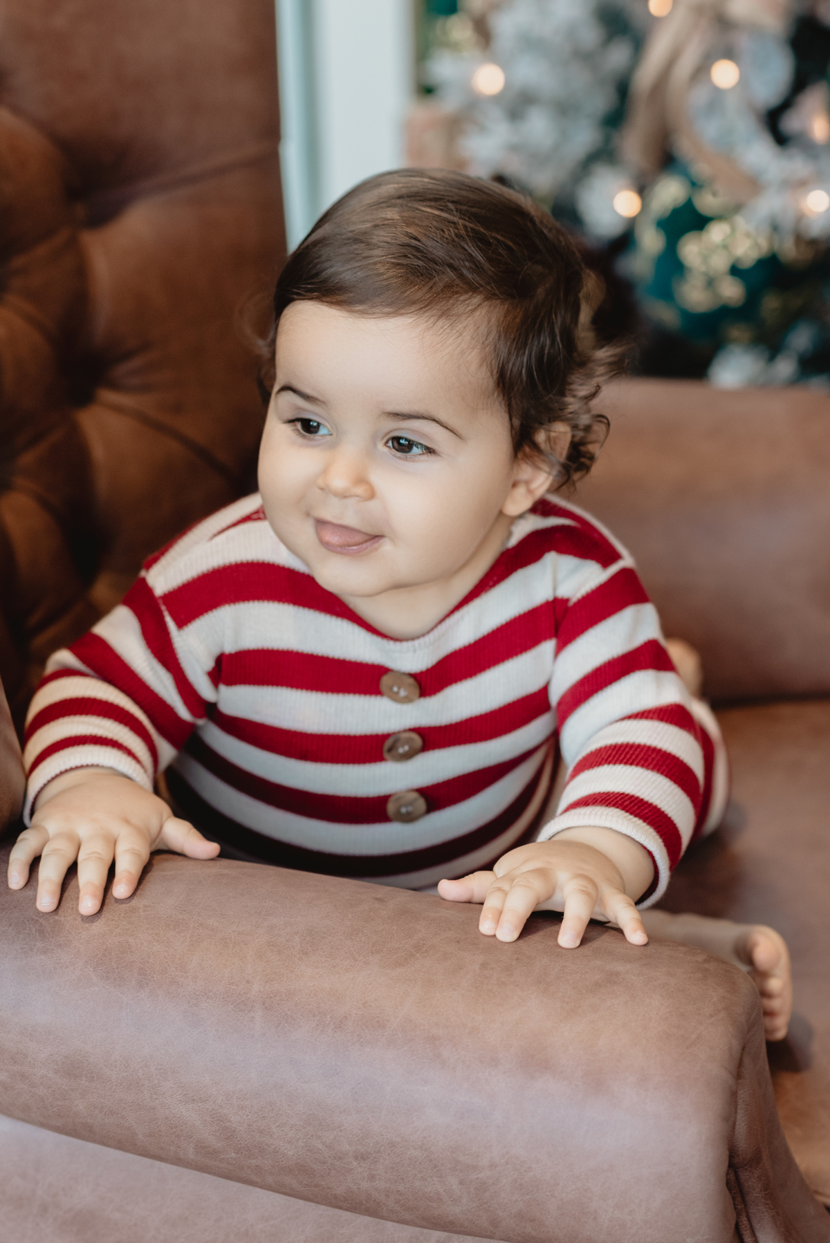 estúdio fotografico, newborn, lisboa, porto, fotografia de família, bebes, recém nascidos, andreia garcia, gravida, gestante, sessão de fotos, fotografo newborn, fotografo de grávidas, ensaio fotográfico de bebes, fotos de maternidade, Smash the cake,