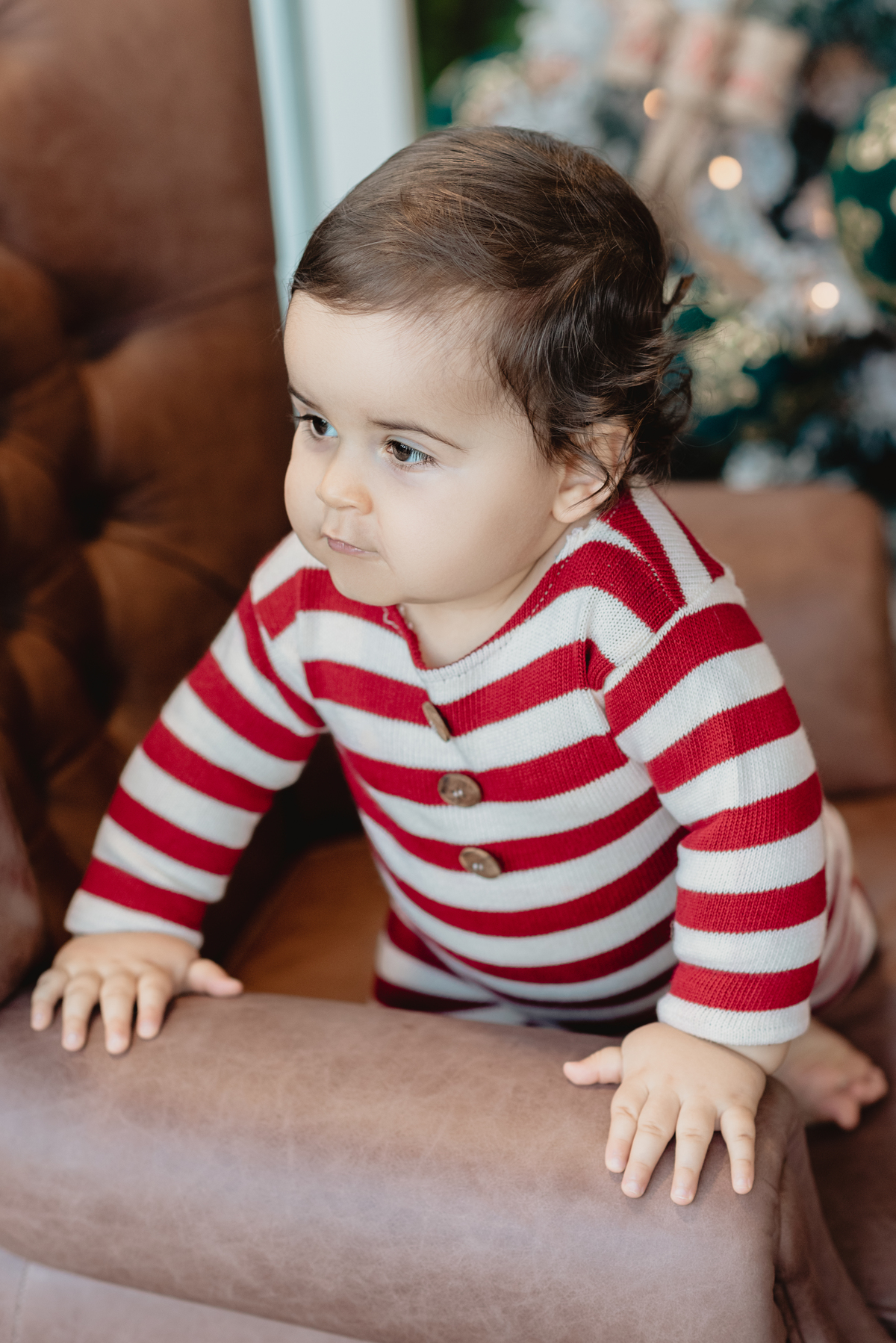 estúdio fotografico, newborn, lisboa, porto, fotografia de família, bebes, recém nascidos, andreia garcia, gravida, gestante, sessão de fotos, fotografo newborn, fotografo de grávidas, ensaio fotográfico de bebes, fotos de maternidade, Smash the cake,