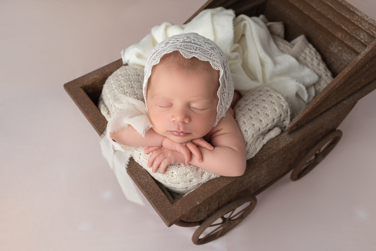 estúdio fotografico, newborn, lisboa, porto, fotografia de família, bebes, recém nascidos, andreia garcia, gravida, gestante, sessão de fotos, fotografo newborn, fotografo de grávidas, ensaio fotográfico de bebes, fotos de maternidade, Smash the cake,