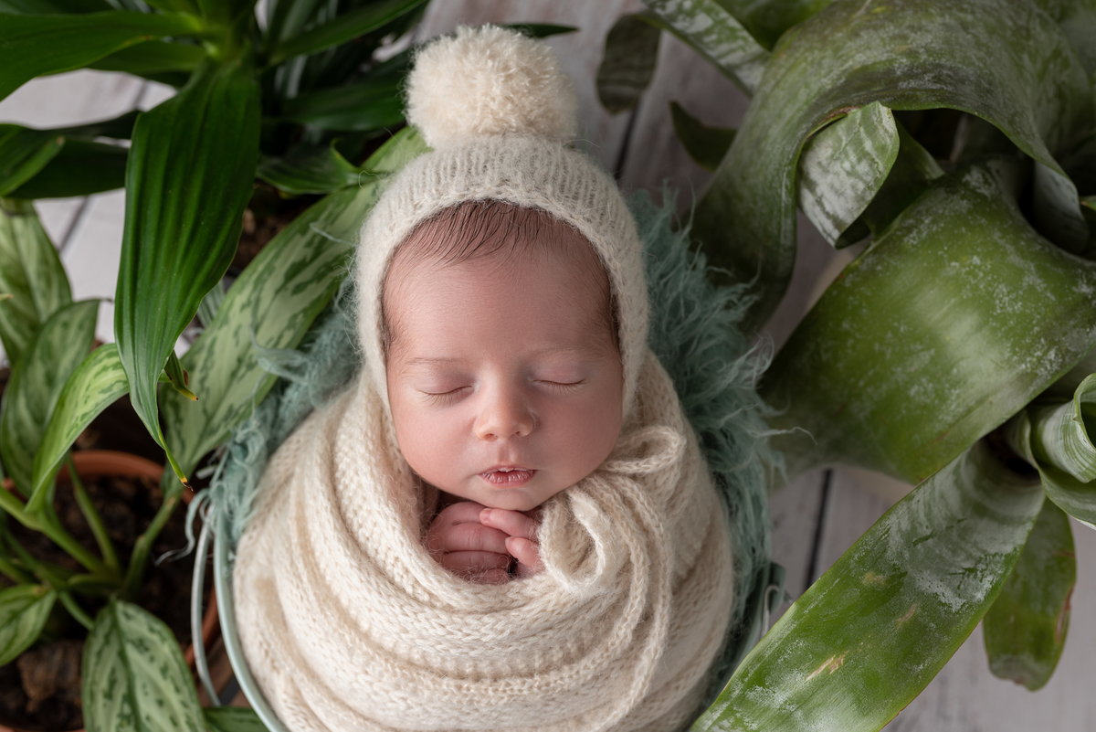 estúdio fotografico, newborn, lisboa, porto, fotografia de família, bebes, recém nascidos, andreia garcia, gravida, gestante, sessão de fotos, fotografo newborn, fotografo de grávidas, ensaio fotográfico de bebes, fotos de maternidade, Smash the cake,