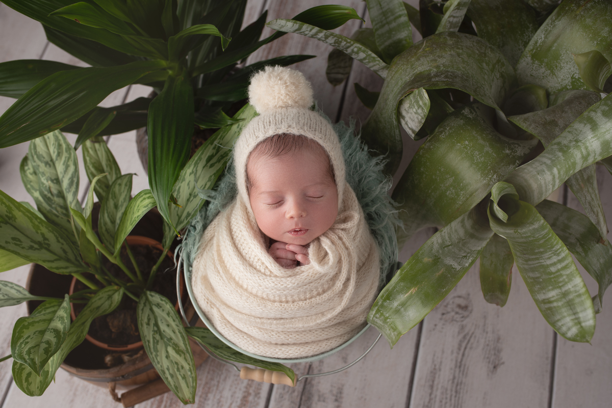 estúdio fotografico, newborn, lisboa, porto, fotografia de família, bebes, recém nascidos, andreia garcia, gravida, gestante, sessão de fotos, fotografo newborn, fotografo de grávidas, ensaio fotográfico de bebes, fotos de maternidade, Smash the cake,