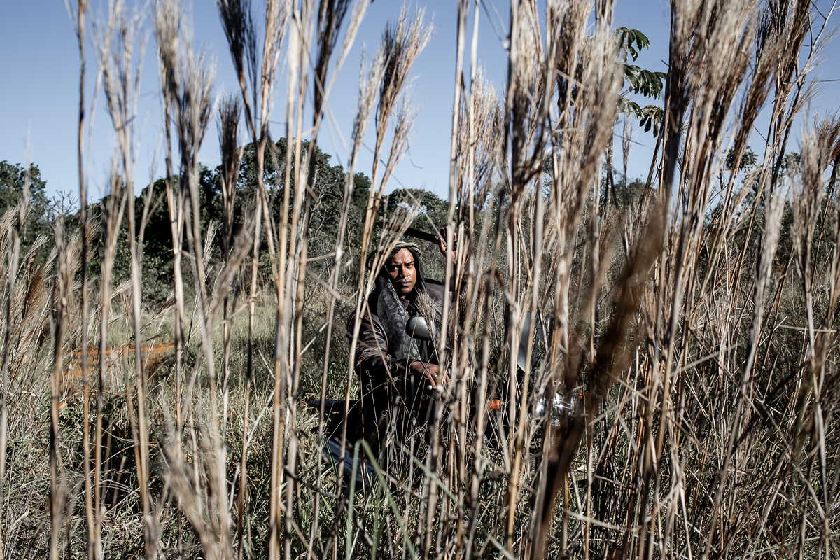 Calango Cangaço

Dizem-se os novos coronéis das antigas capitânias hereditárias donos reais dessa nossa terra, eles que aguardem a ardência da terra que queima. Deles num é nem um toco e nem um tijolo. Tudo que cresce e floresce é nosso.
