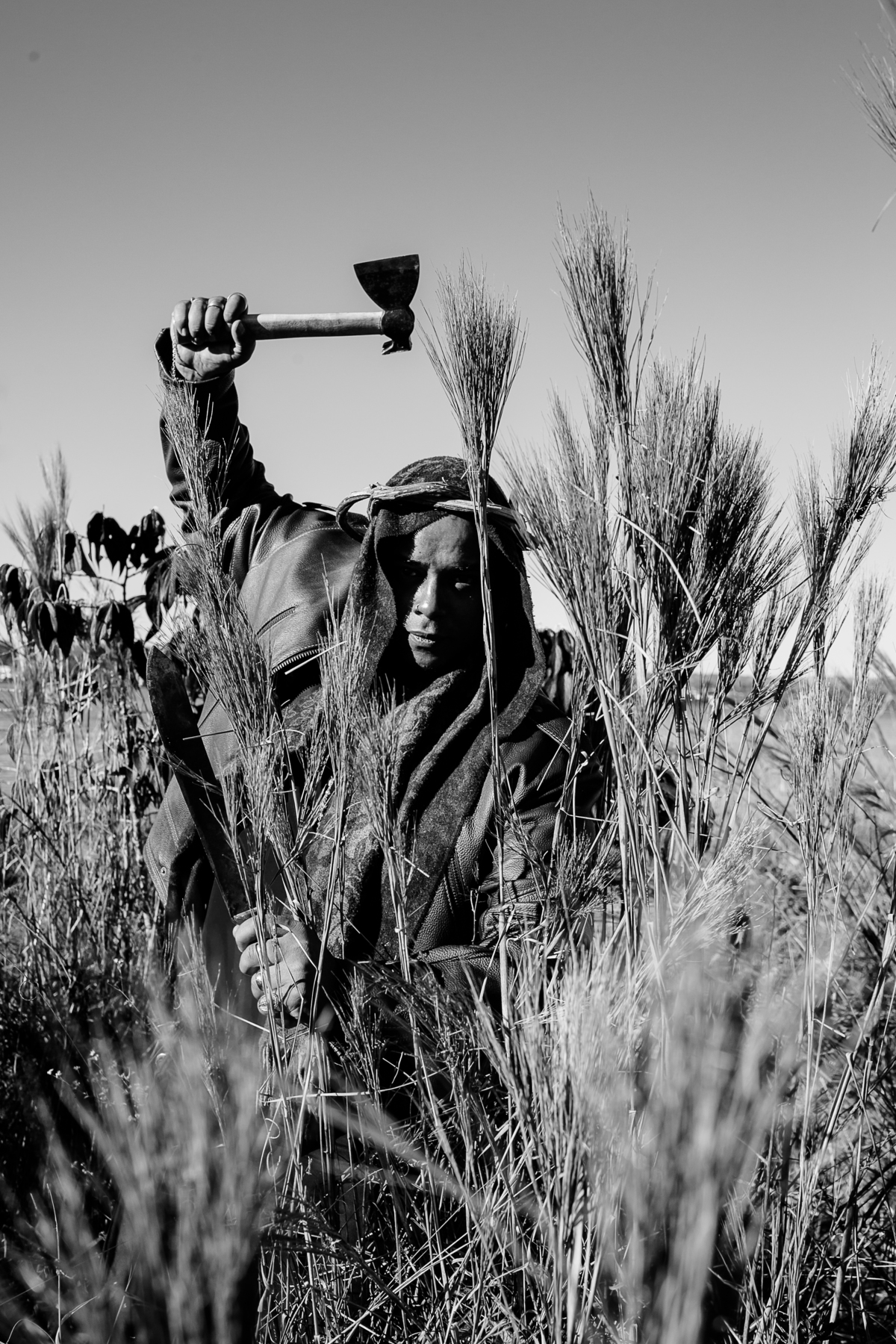 Calango Cangaço

Dizem-se os novos coronéis das antigas capitânias hereditárias donos reais dessa nossa terra, eles que aguardem a ardência da terra que queima. Deles num é nem um toco e nem um tijolo. Tudo que cresce e floresce é nosso.
