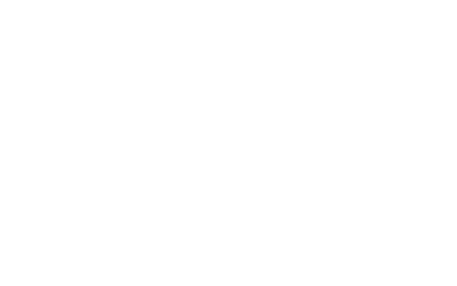Logotipo de Nicole Kelsch Fotografias