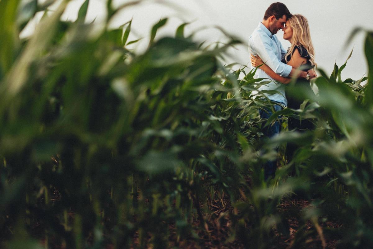 ensaio romantico milharal demetria botucatu