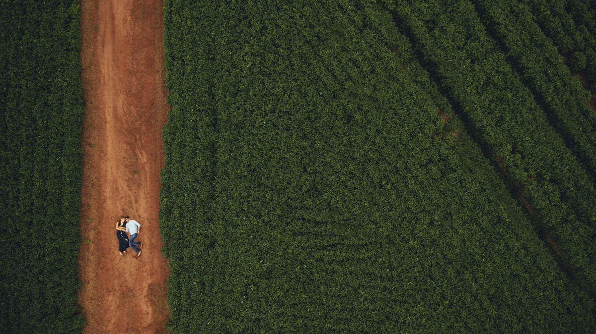 foto aerea drone ensaio romantico milharal demetria botucatu