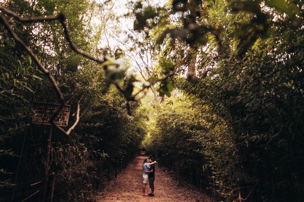 casal beijando centralizado corredor bambus vista superior