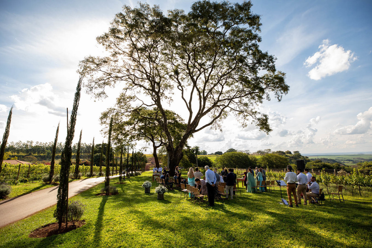 casamento no campo vinícola biagi
