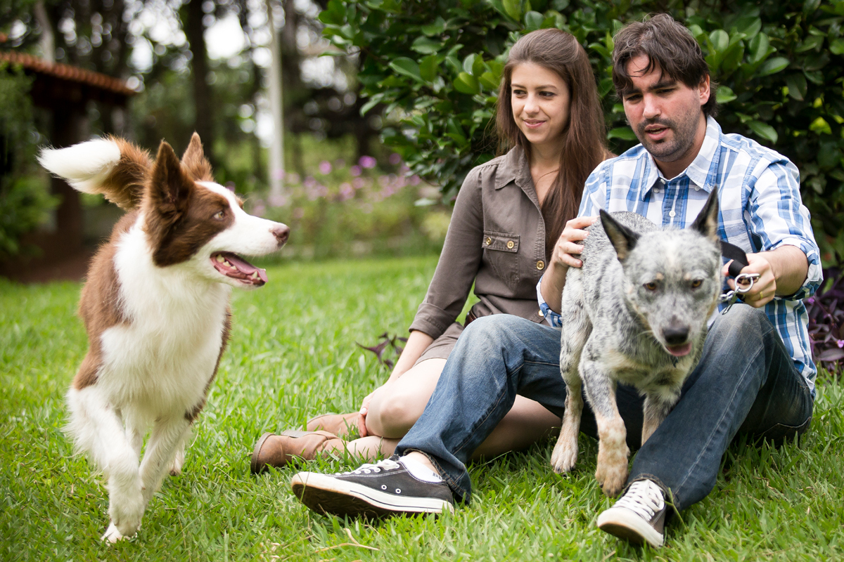 ensaio pre casamento com cachorros