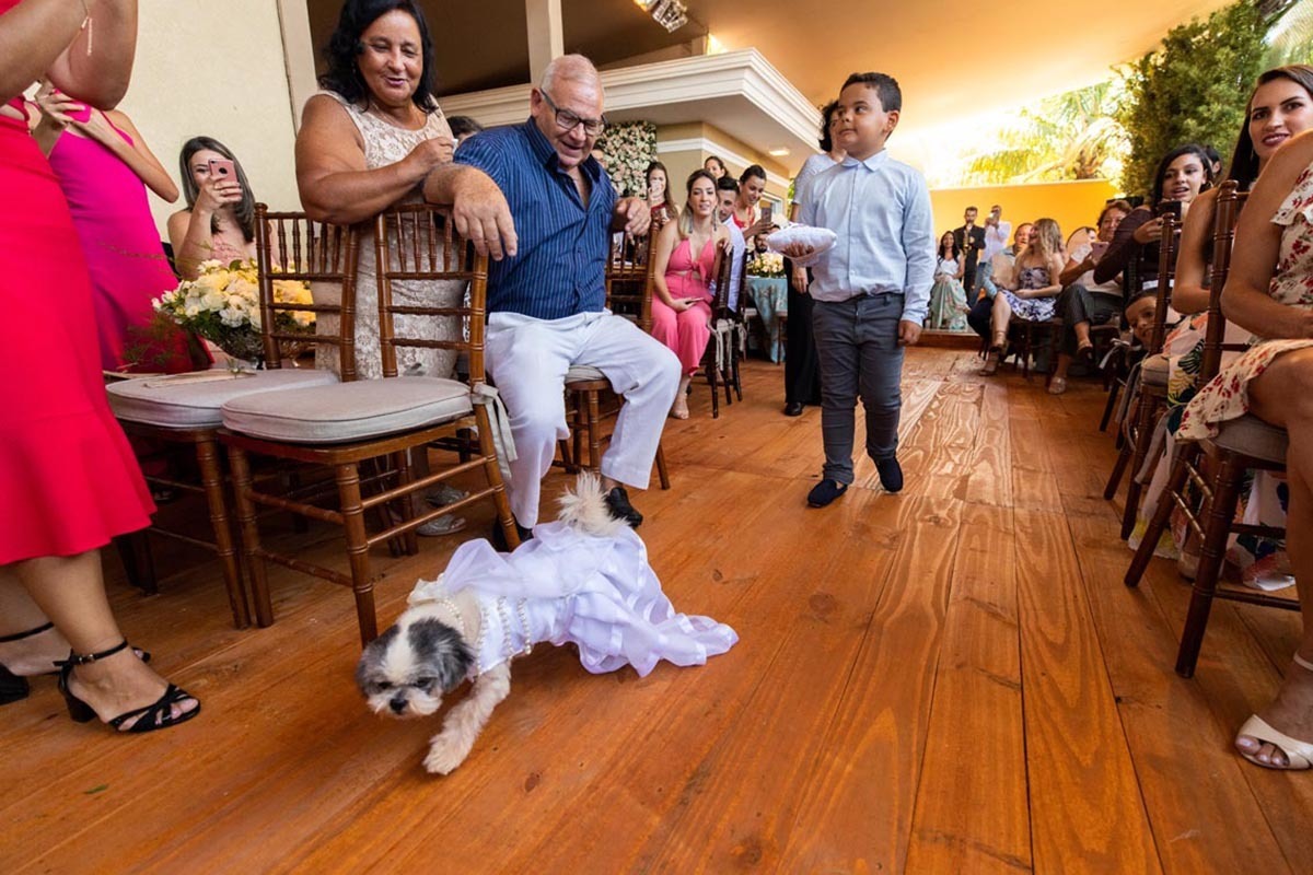 Cachorro Shitzu na entrada das alianças em Casamento, fotógrafo de casamento São Paulo, Leandro Frin