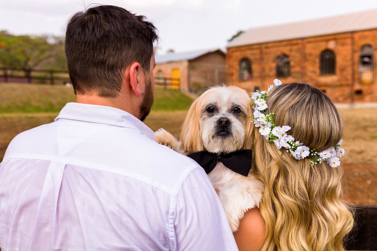 ensaio pre casamento com pet