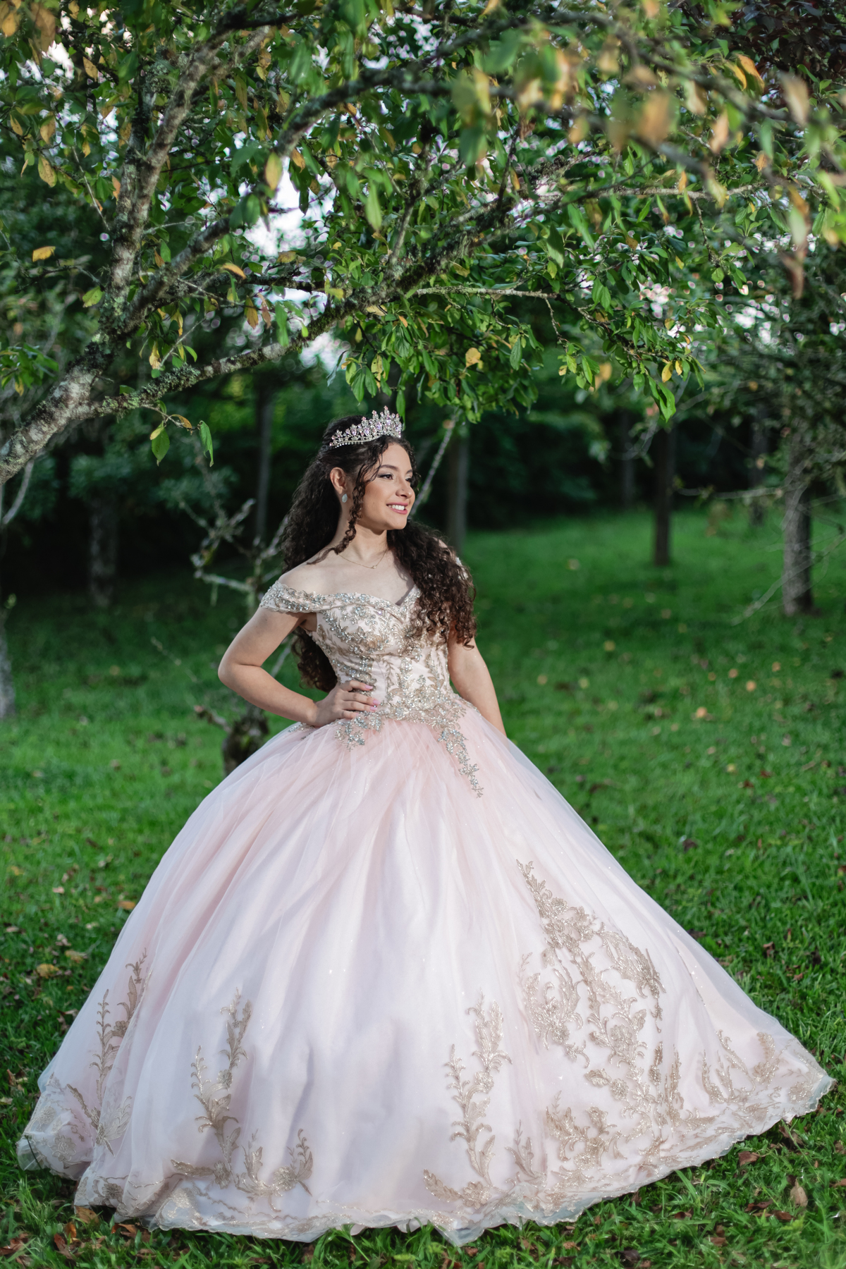 Festa de 15 anos em Canela