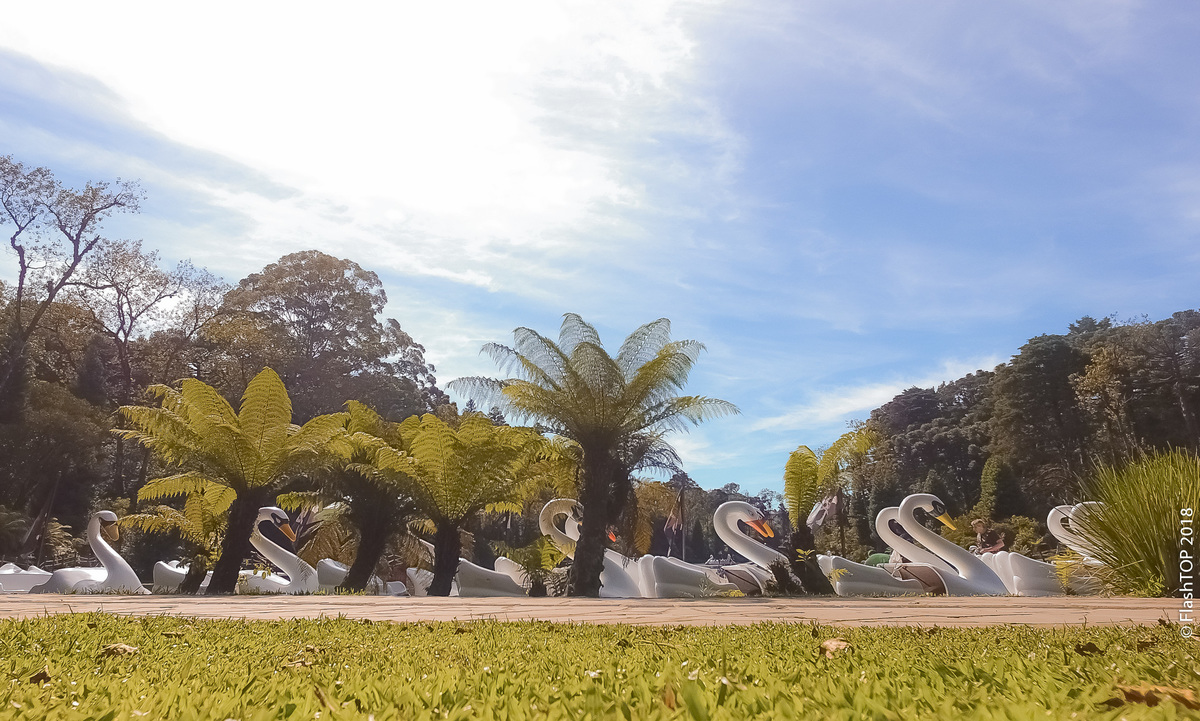 Book dos 15 Laura Falcoski, Estúdio Fotográfico FlashTOP, Gramado rs brasil, dinarci borges, Lu Kraieski espaço de beleza canela