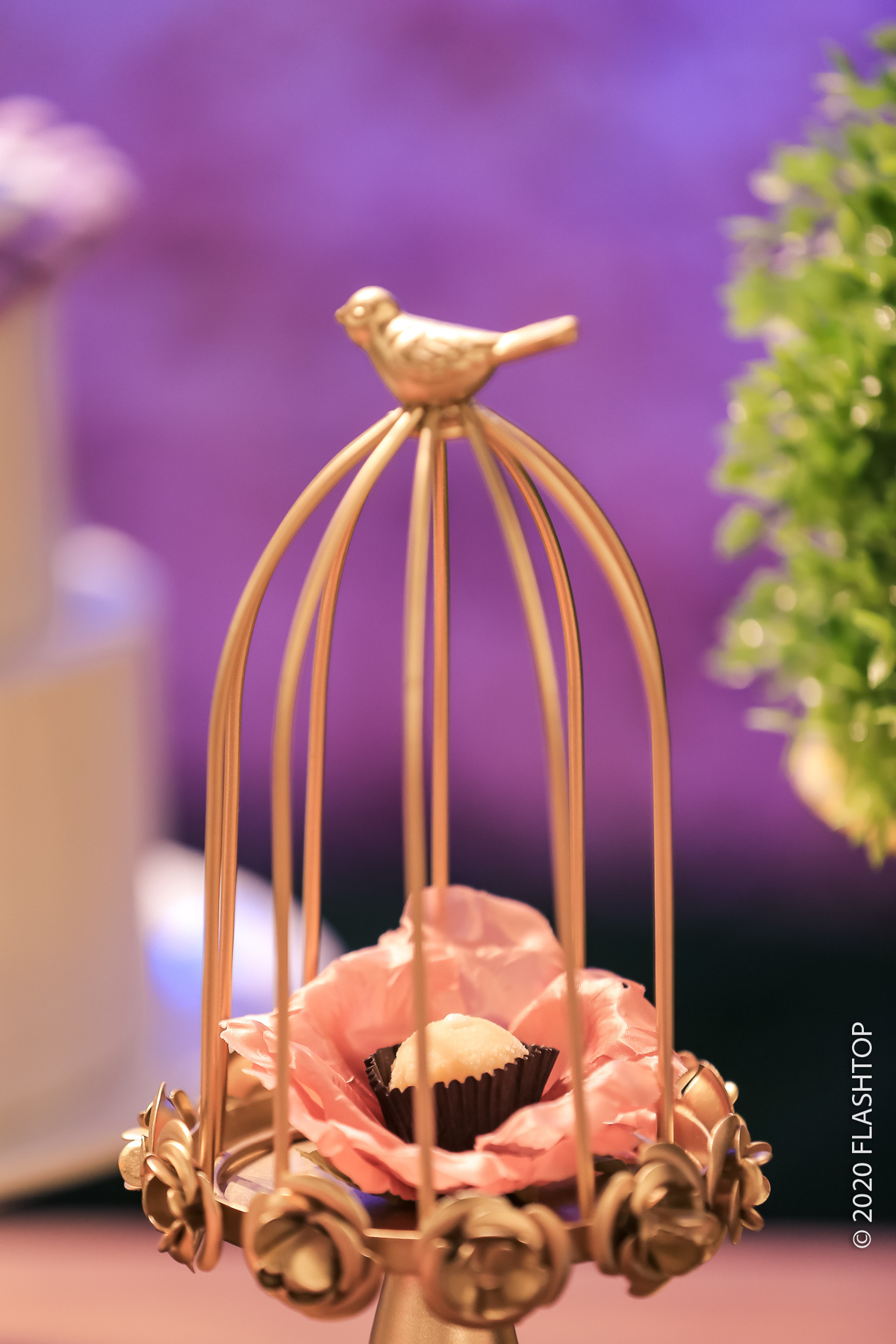 Festa infantil Ana Beatriz 1 aninho