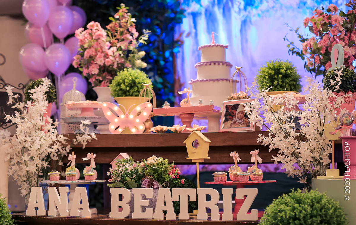 Festa infantil Ana Beatriz 1 aninho