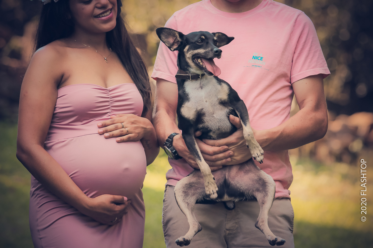 ensaio fotografico gestante em Canela
