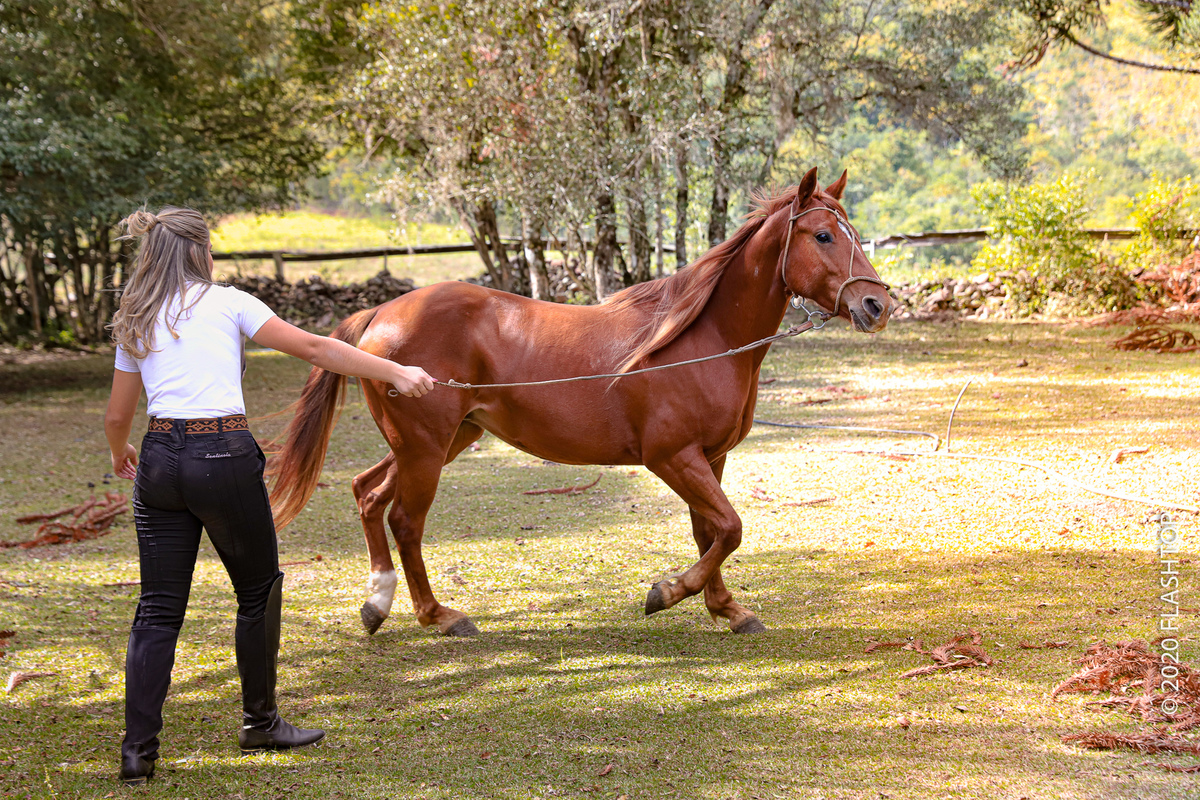 Ensaio fotográfico dos 15 anos no sítio tradição em Gramado e Canela