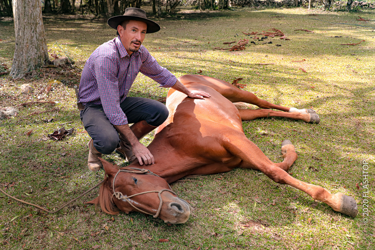 Ensaio fotográfico dos 15 anos no sítio tradição em Gramado e Canela