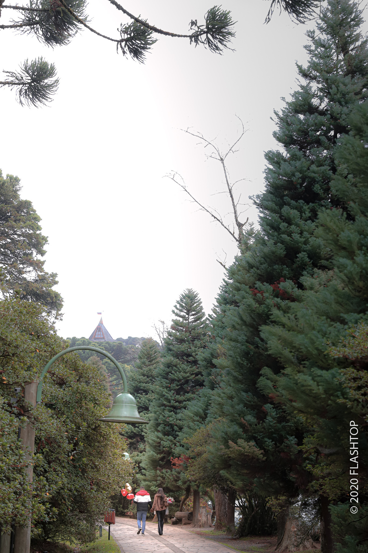 Pedido de casamento em Gramado às margens do Lago Negro