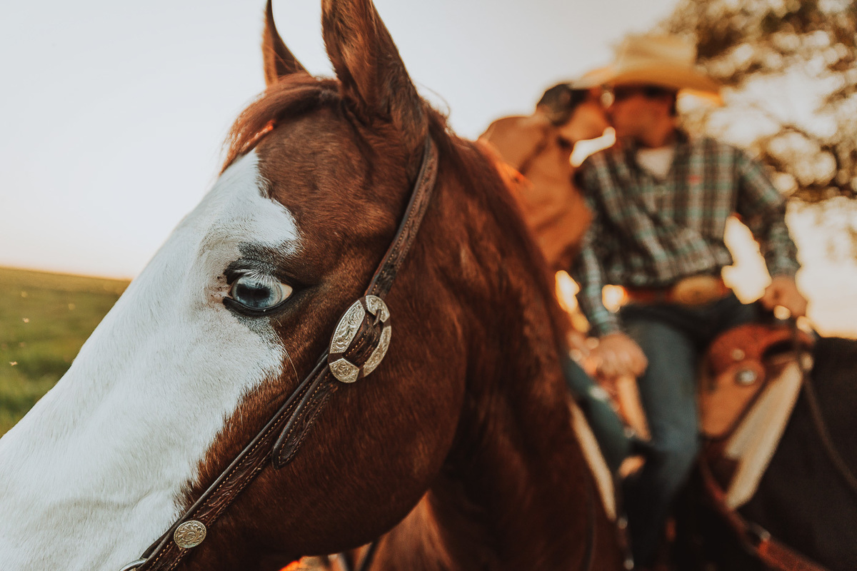 fotografo em maringa com estilo de edição de pressets estilo de edição de fotos americanas