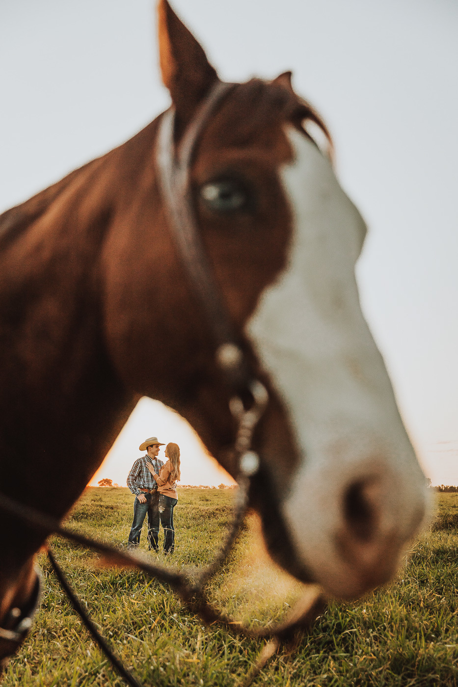 ideias de fotos diferentes para fazer com o cavalo 