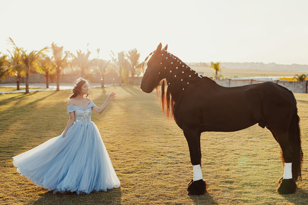 Fotos de debutante ao ar livre com vestido com companhia de cavalos