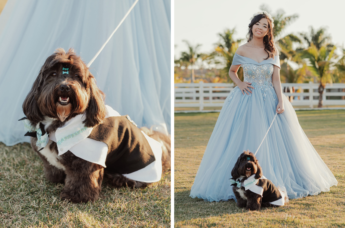Ensaio fotografico com cachorros