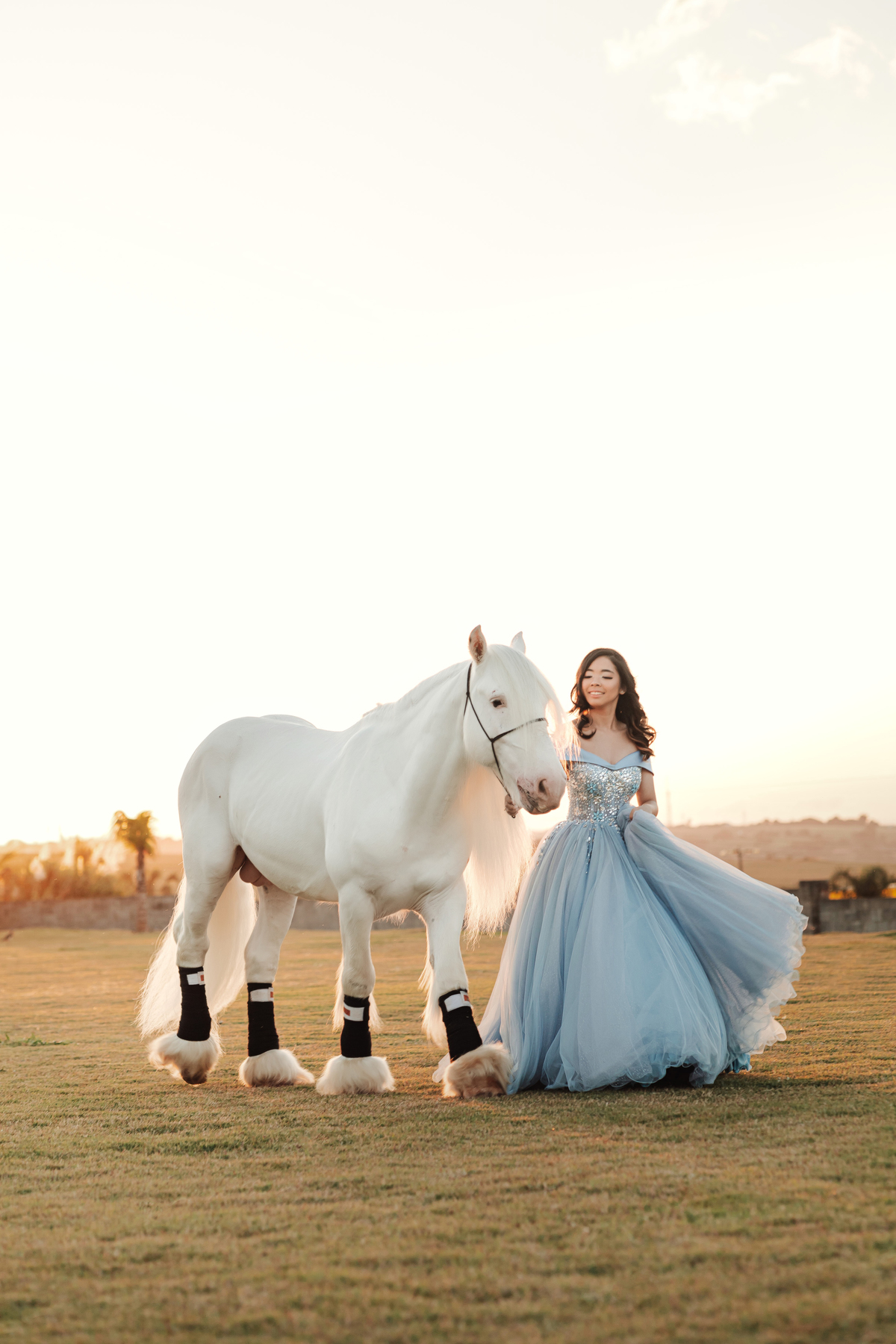 Ensaio debutante com cavalo branco em Maringa