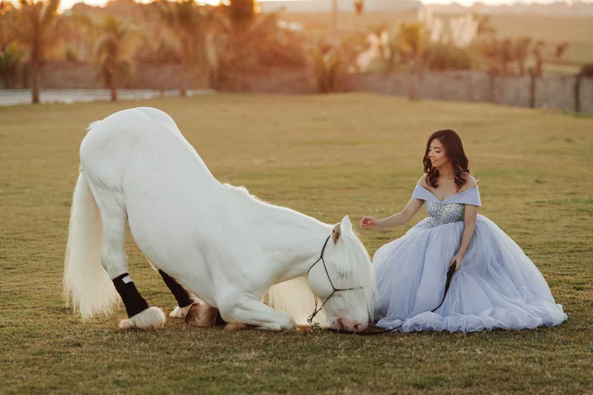 Ensaio feminino com cavalos em Maringa