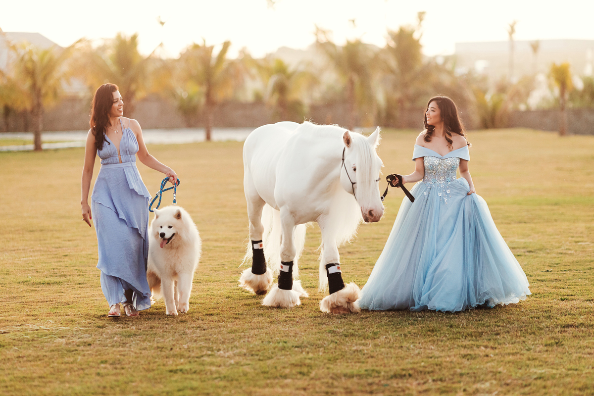 Ensaio de familia com pets em maringa
