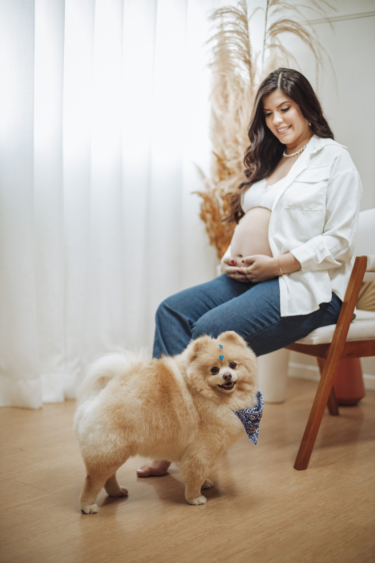 ensaio de gestante interno com pet fotografo de gestantes