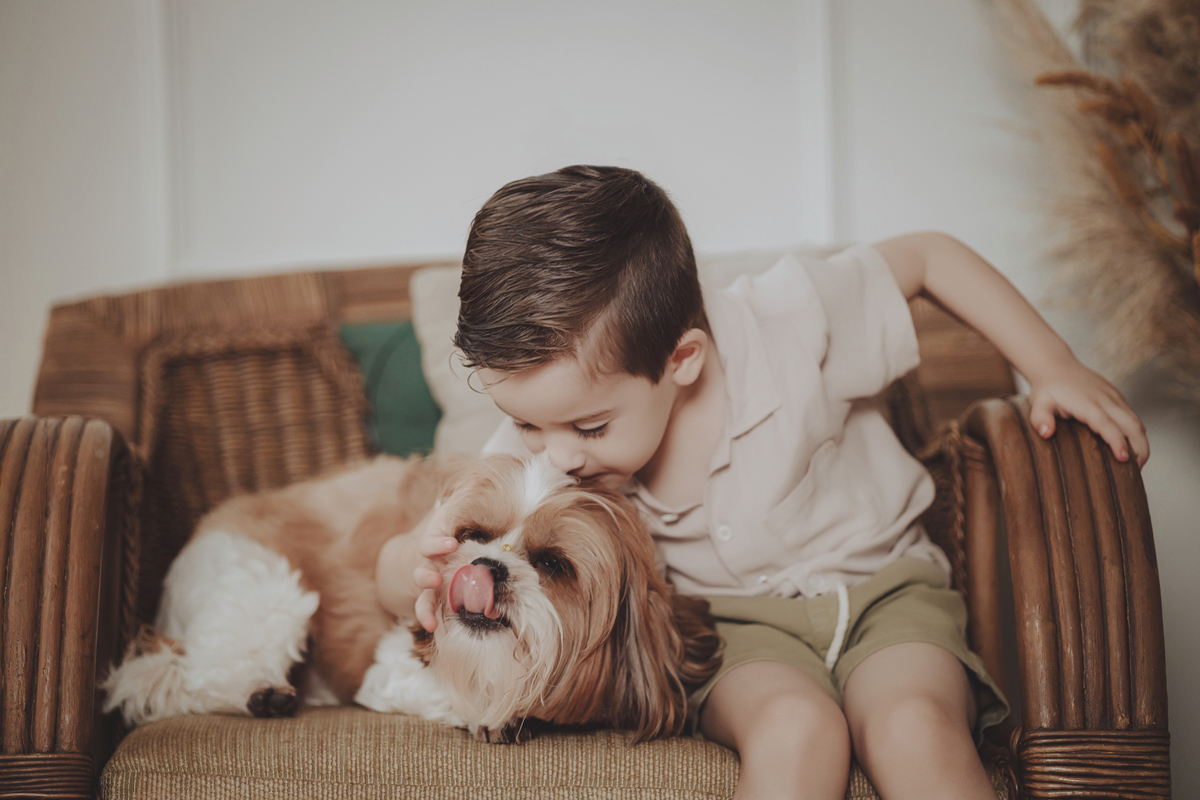 Ensaio infantil e de família de natal com pets em Maringá fotógrafo de família em maringá