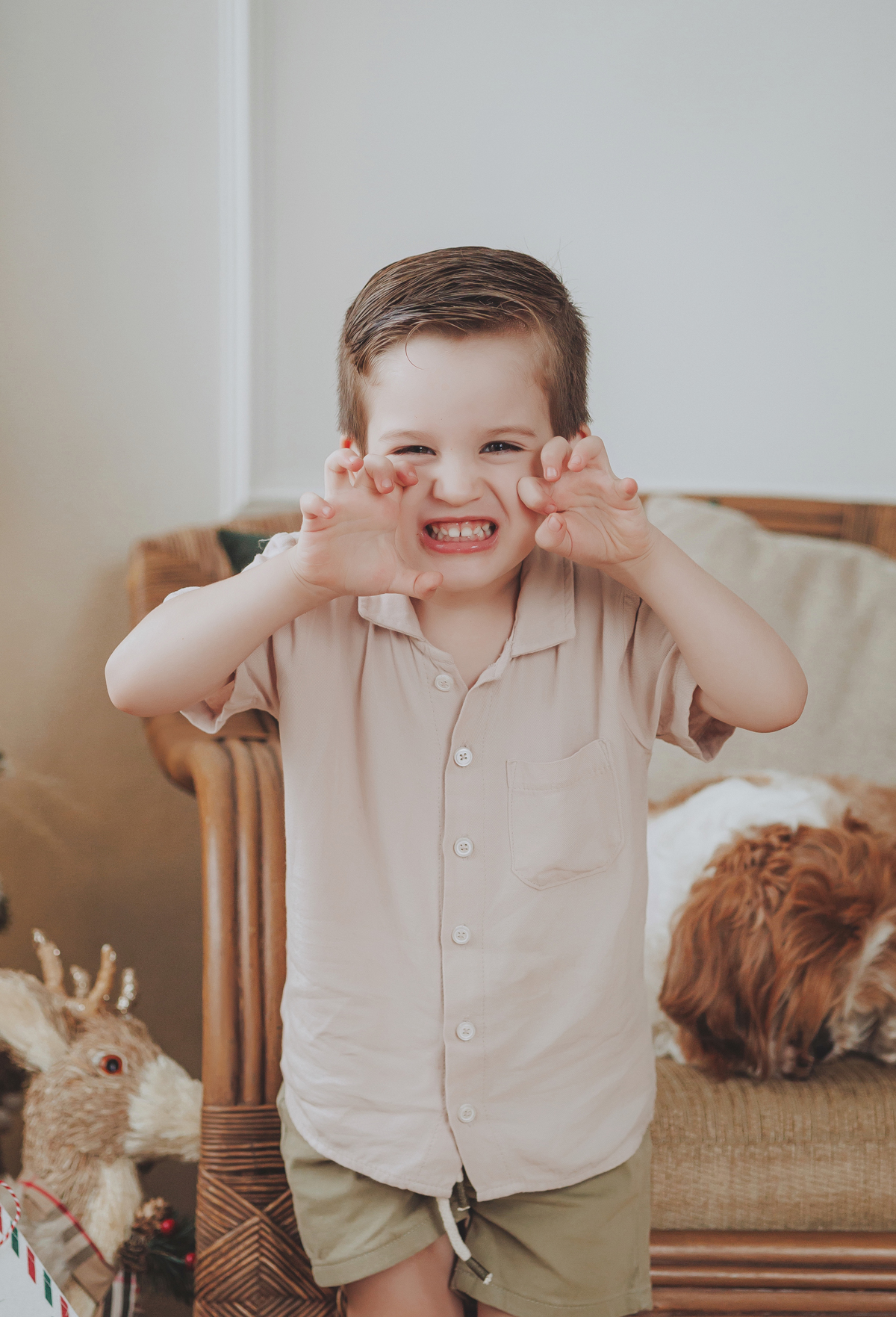 Ensaio de Natal infantil com pet em Maringá fotografo de familia cenário de natal