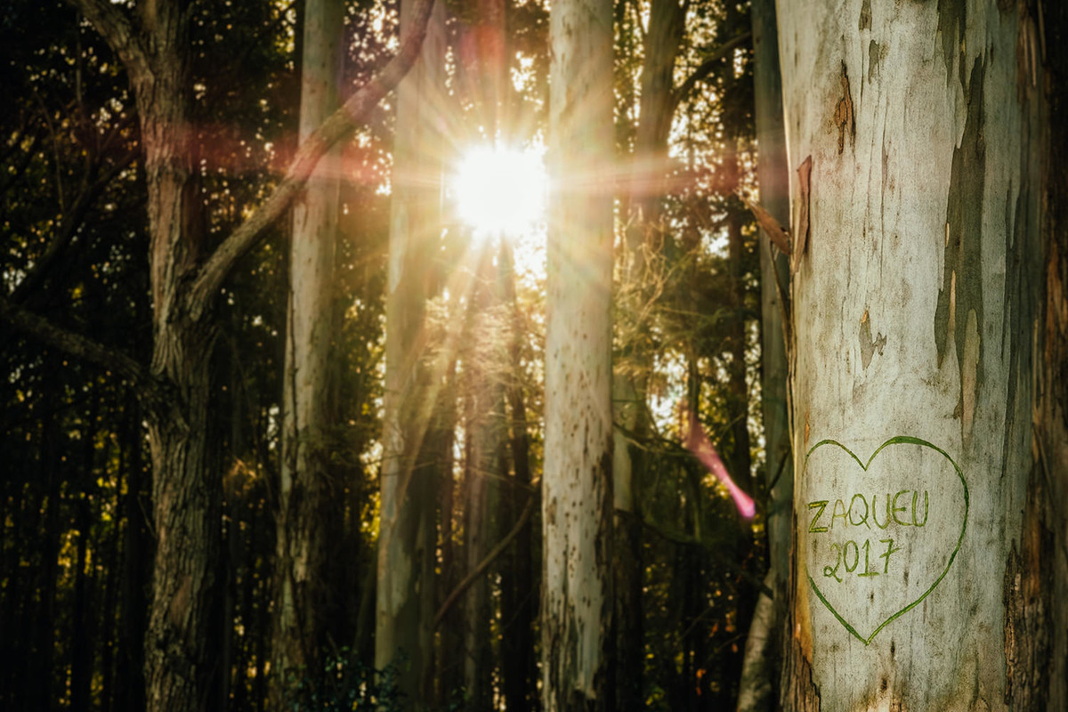 Foto para ensaio de gestante