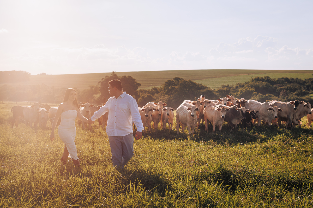Pre wedding em Maringá com cavalos e bois 