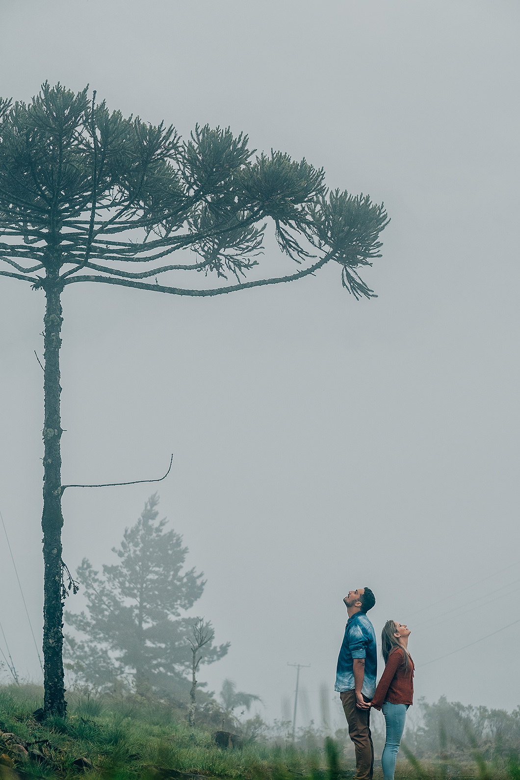 Pré Wedding  em dia de neblina e chuva no PAraná foto de Ricardo Andrade