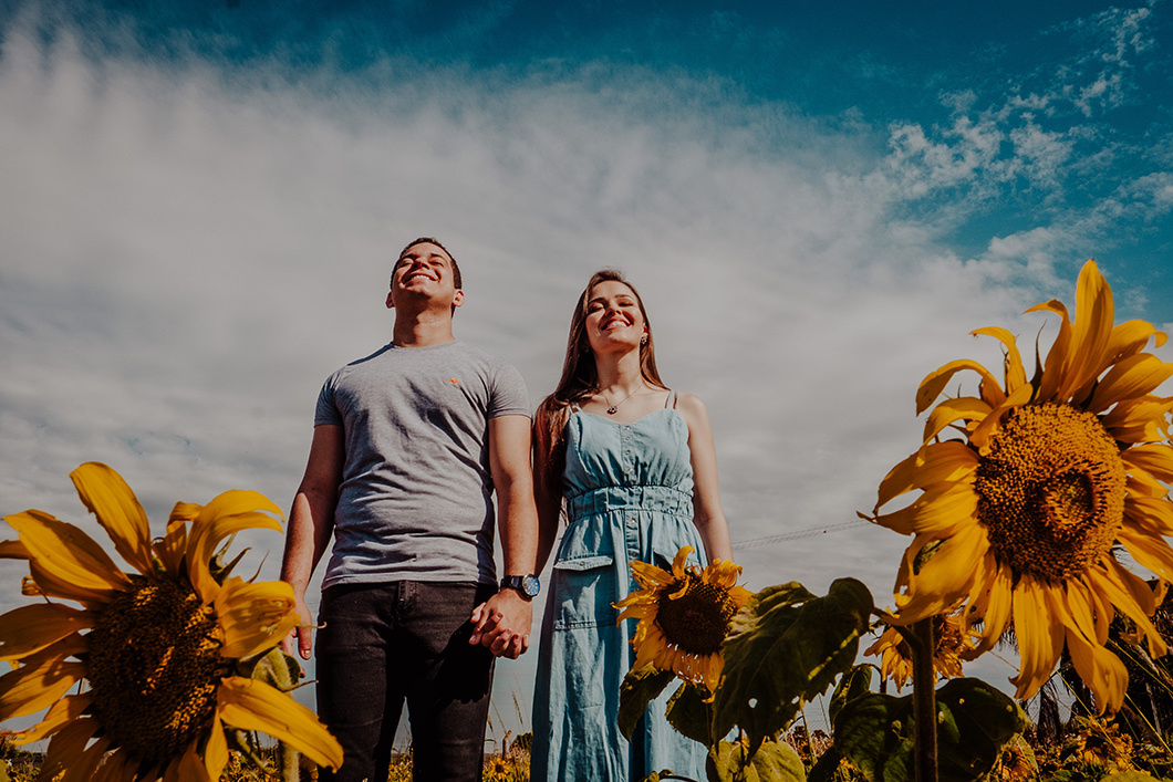 lindo ensaio Pré Wedidng com plantação de girassois pelo fotografo Rickardo Andrade