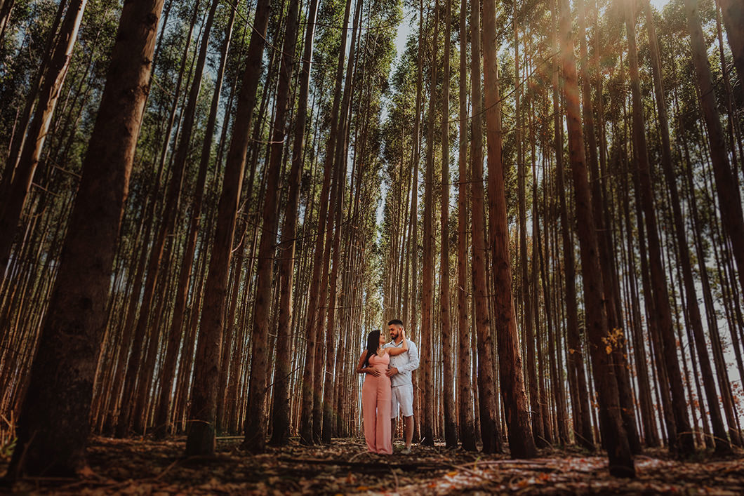 ensaio de casal com fotos em plantação de eucalipto em Mandaguari-PR