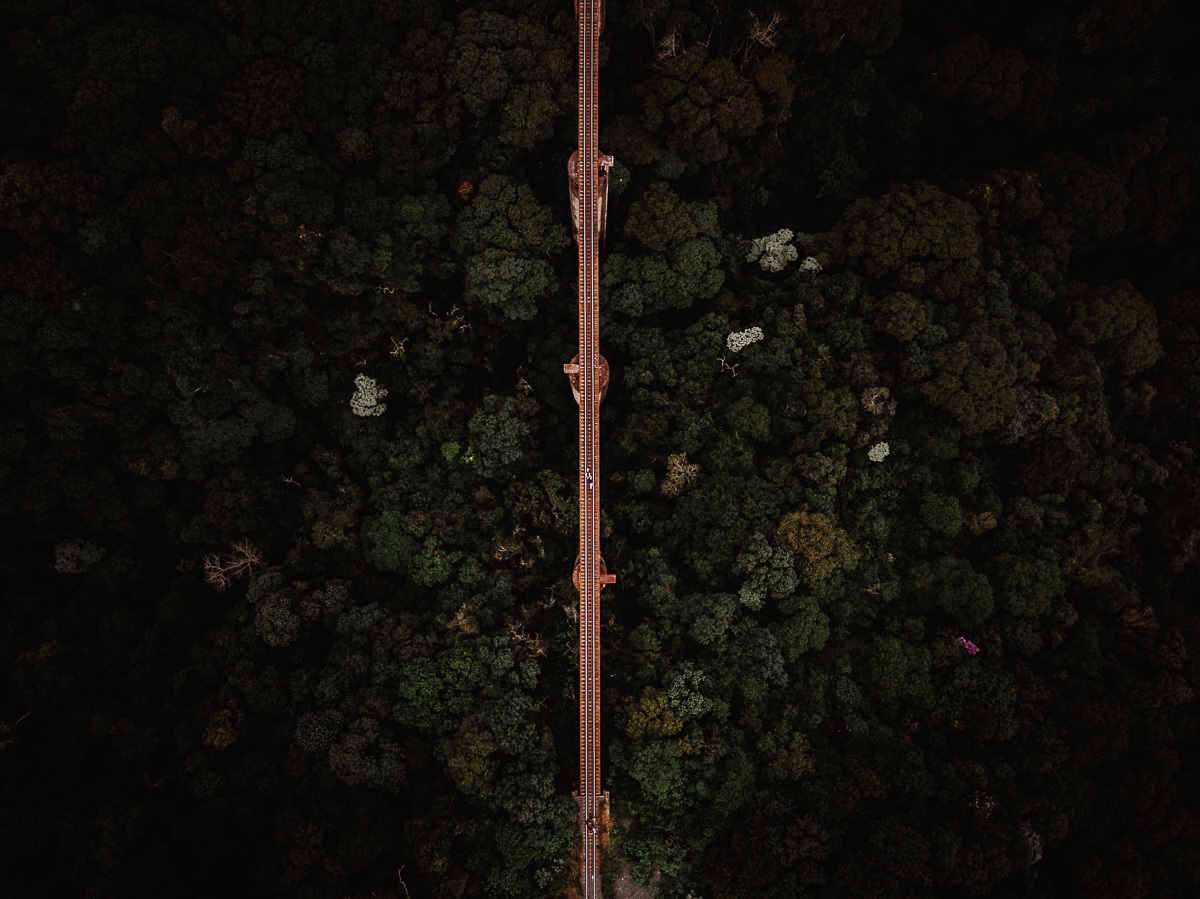 lindas fotos para ensaio pre casamento feitas com drone por fotografo de casamento de Maringá-PR