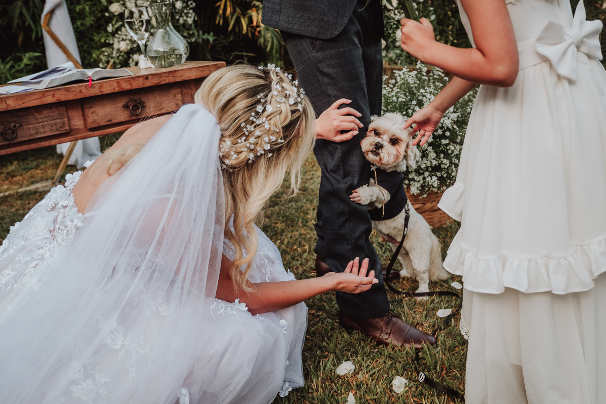 entrada das alianças feitos por cachorro dos noivos 