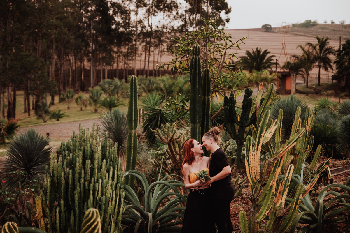 ensiao externo em um jardim desertico em maringa fotos do melhor fotografo de Maringa Rickardo Andrade 